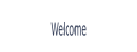 Welcome.